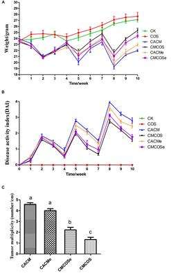 Chitooligosaccharides Prevents the Development of Colitis-Associated Colorectal Cancer by Modulating the Intestinal Microbiota and Mycobiota